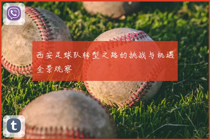 西安足球队转型之路的挑战与机遇全景观察