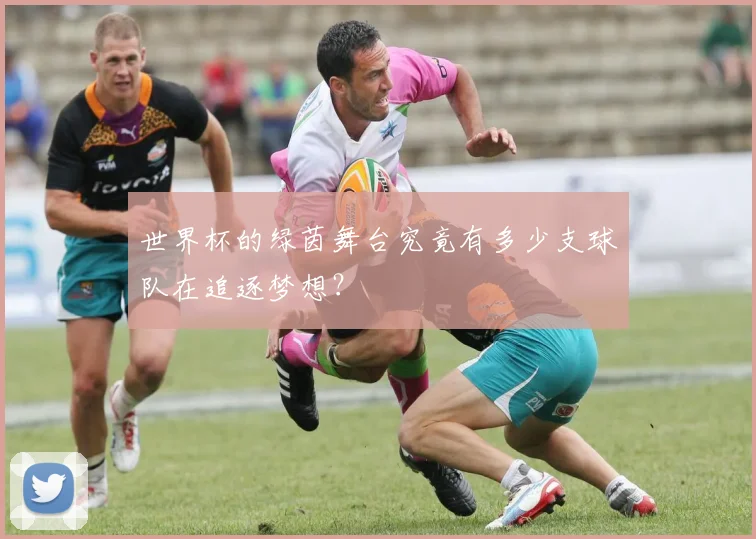 世界杯的绿茵舞台究竟有多少支球队在追逐梦想?