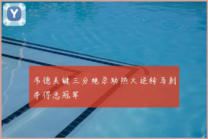 韦德关键三分绝杀助热火逆转马刺夺得总冠军