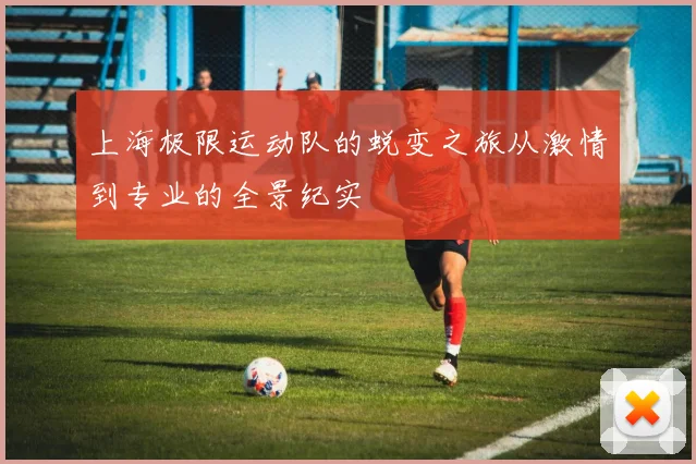 上海极限运动队的蜕变之旅从激情到专业的全景纪实