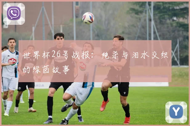 世界杯26号战报：绝杀与泪水交织的绿茵故事
