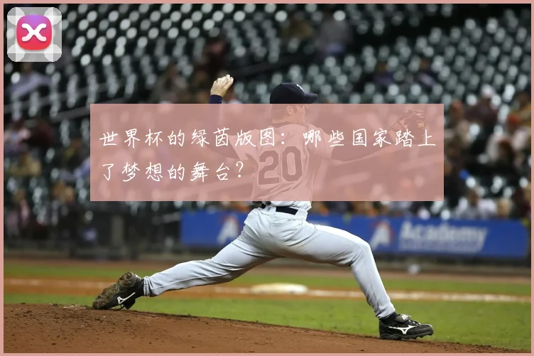 世界杯的绿茵版图:哪些国家踏上了梦想的舞台?