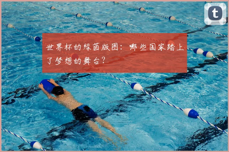 世界杯的绿茵版图:哪些国家踏上了梦想的舞台?