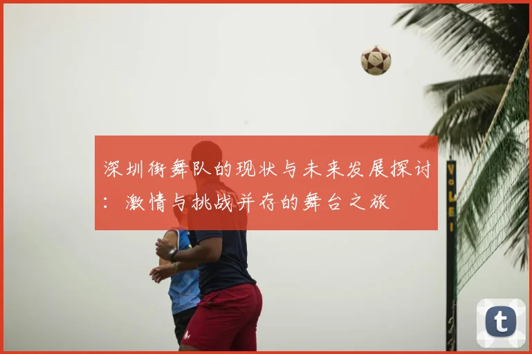 深圳街舞队的现状与未来发展探讨:激情与挑战并存的舞台之旅